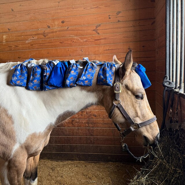 Mane Bags Built To Protect